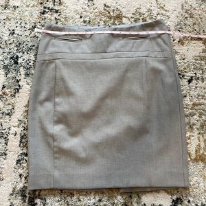 Express Pencil Skirt